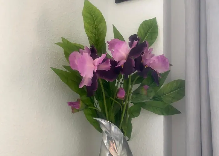 Apartment Ocean Balcony In Balcon Del Mar *